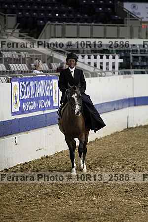 Proof Number 10r13_2586