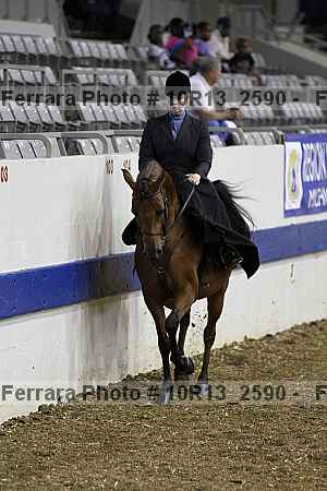 Proof Number 10r13_2590