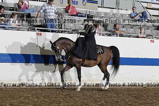 Proof Number 10r13_2598