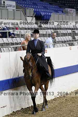 Proof Number 10r13_2606