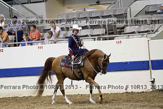 Proof Number 10r13_2613