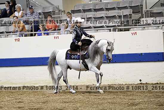 Proof Number 10r13_2614