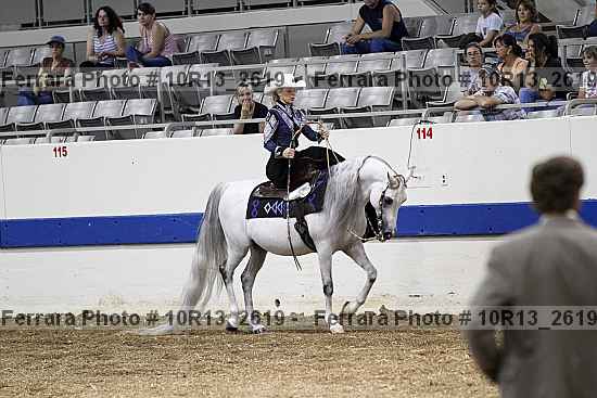 Proof Number 10r13_2619