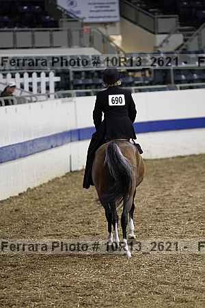 Proof Number 10r13_2621