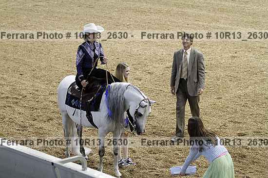 Proof Number 10r13_2630