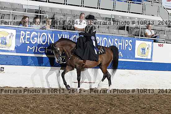 Proof Number 10r13_2642