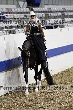 Proof Number 10r13_2645