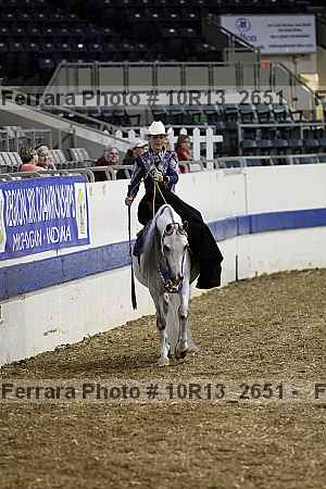 Proof Number 10r13_2651