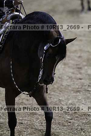 Proof Number 10r13_2669