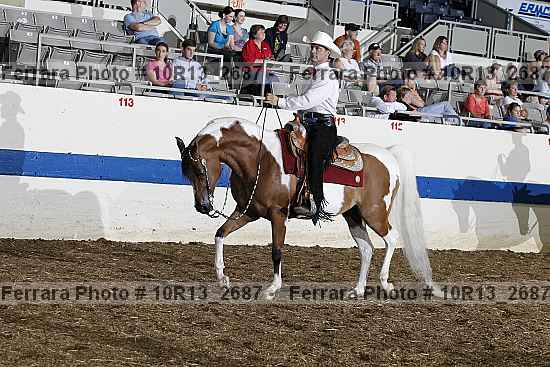 Proof Number 10r13_2687