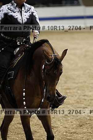 Proof Number 10r13_2704