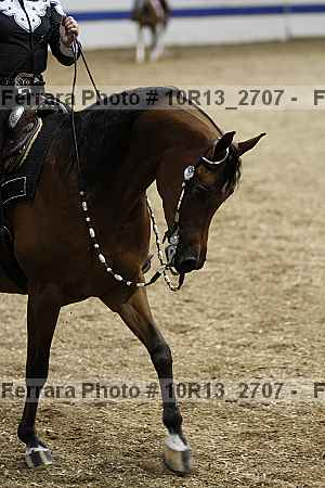 Proof Number 10r13_2707
