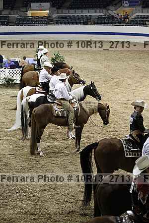 Proof Number 10r13_2713