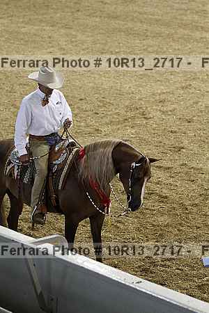 Proof Number 10r13_2717