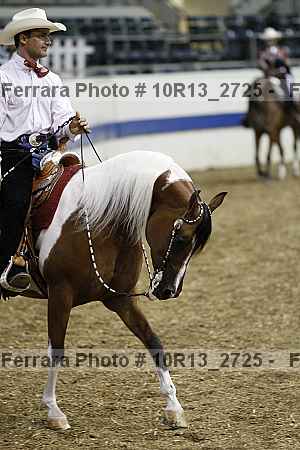 Proof Number 10r13_2725