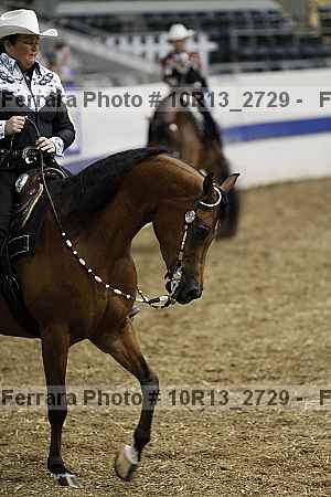 Proof Number 10r13_2729