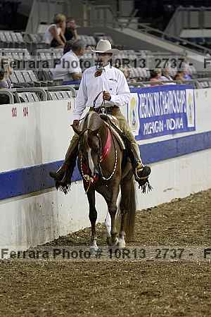Proof Number 10r13_2737