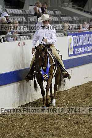 Proof Number 10r13_2744