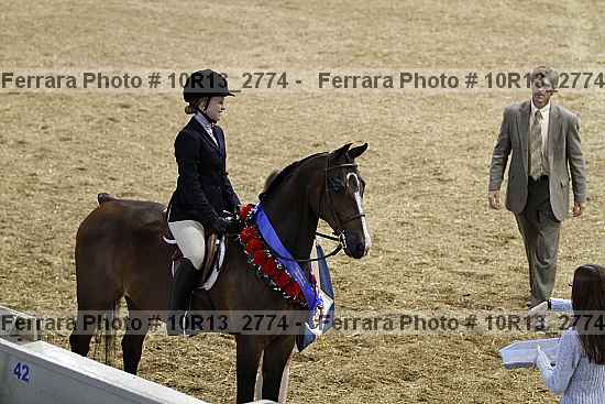 Proof Number 10r13_2774