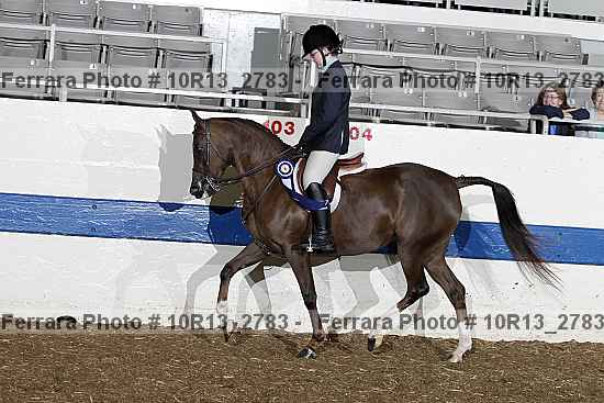 Proof Number 10r13_2783