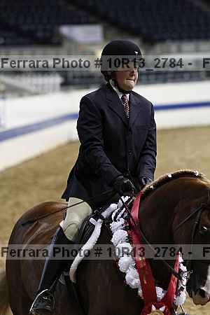 Proof Number 10r13_2784