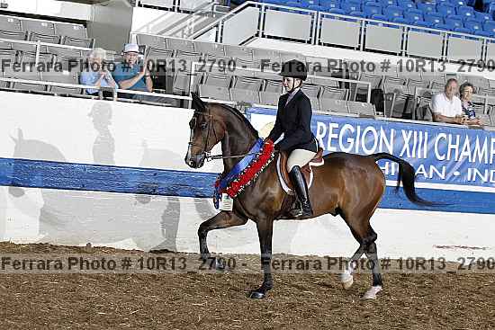 Proof Number 10r13_2790