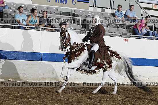Proof Number 10r13_2795