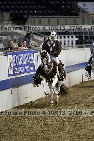 Proof Number 10r13_2796