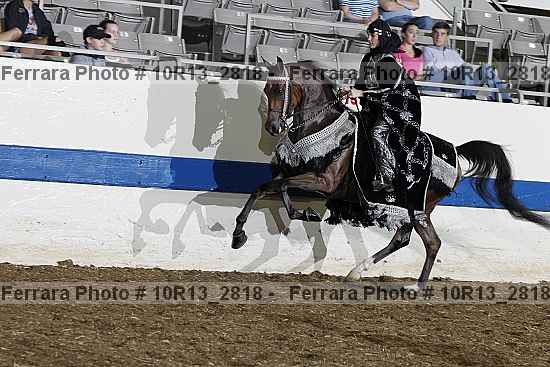 Proof Number 10r13_2818