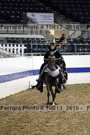 Proof Number 10r13_2819