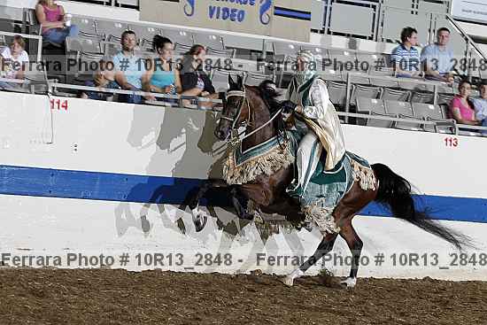 Proof Number 10r13_2848