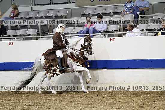 Proof Number 10r13_2851