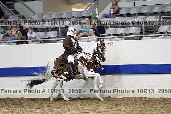 Proof Number 10r13_2858