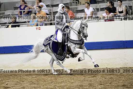 Proof Number 10r13_2863