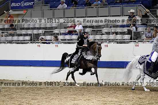 Proof Number 10r13_2868