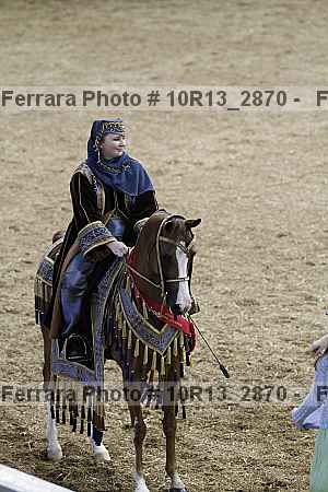 Proof Number 10r13_2870