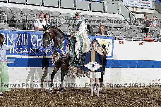Proof Number 10r13_2876