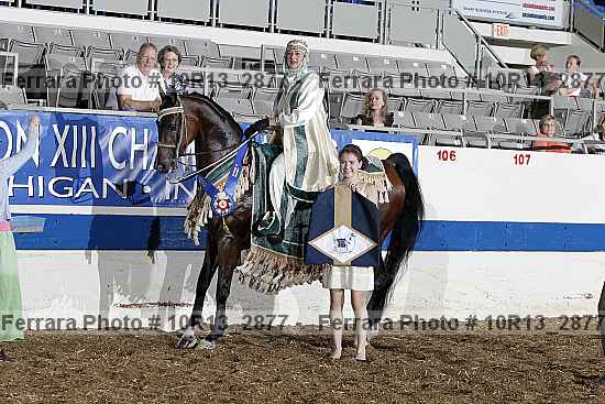 Proof Number 10r13_2877