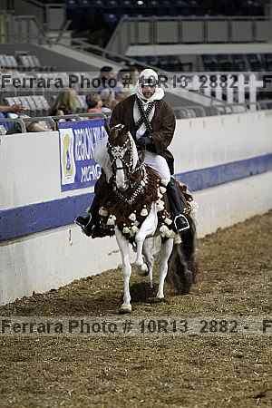 Proof Number 10r13_2882