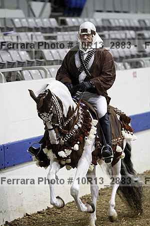 Proof Number 10r13_2883