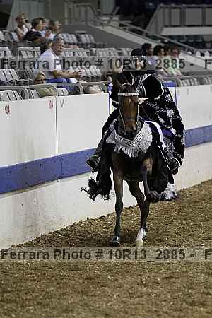 Proof Number 10r13_2885