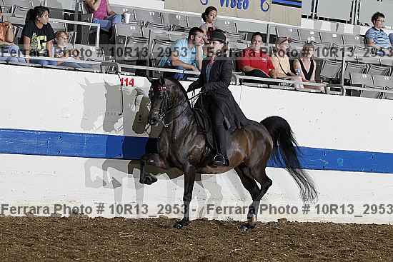 Proof Number 10r13_2953