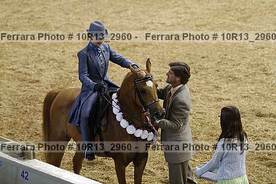 Proof Number 10r13_2960