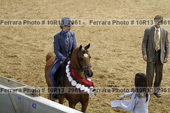 Proof Number 10r13_2961