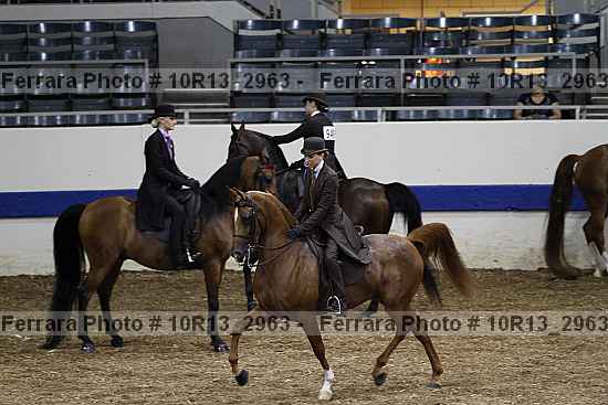 Proof Number 10r13_2963
