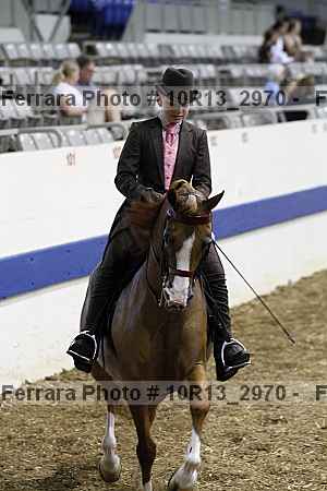 Proof Number 10r13_2970