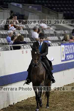 Proof Number 10r13_2974