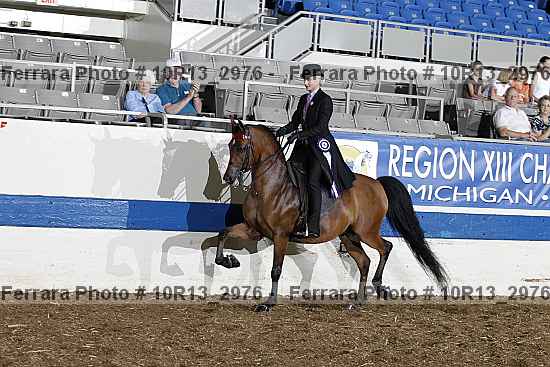 Proof Number 10r13_2976