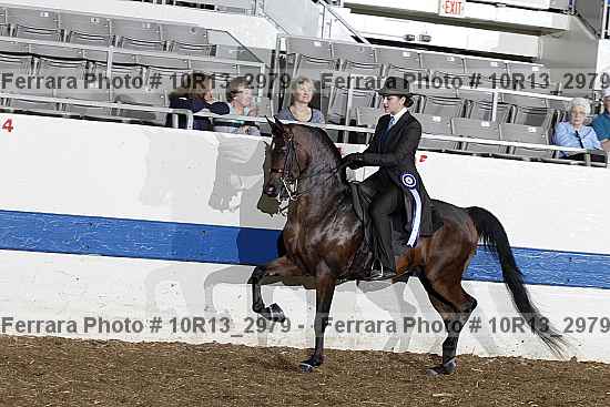 Proof Number 10r13_2979