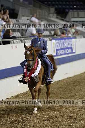 Proof Number 10r13_2980